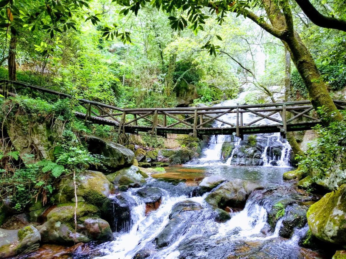 Verde Agua Agroturismo E Agricultura Biologica Couto Екстериор снимка