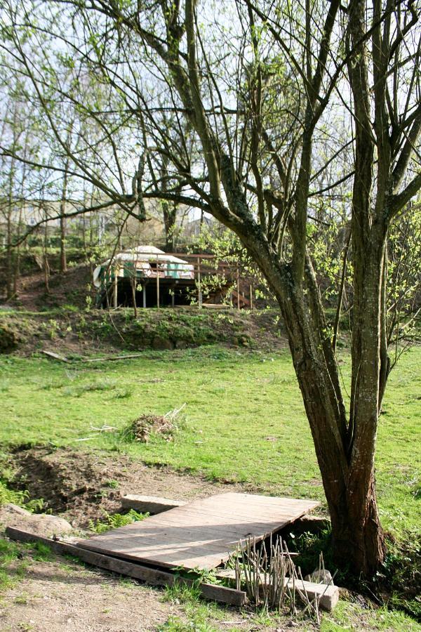 Verde Agua Agroturismo E Agricultura Biologica Couto Екстериор снимка